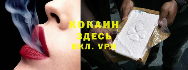 амф Липки