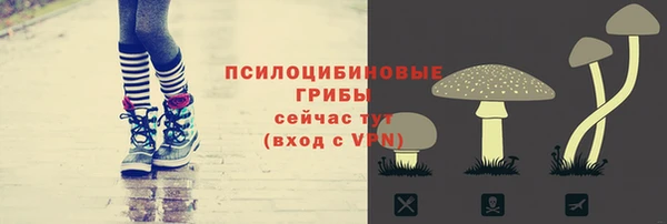 амф Липки