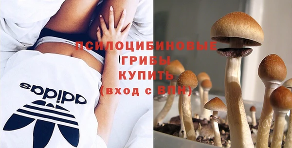 амф Липки