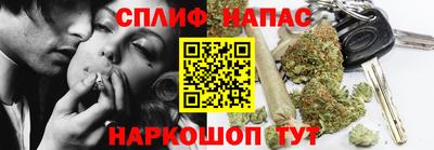 ешки Камышлов