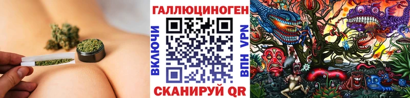 Галлюциногенные грибы Psilocybe Самара