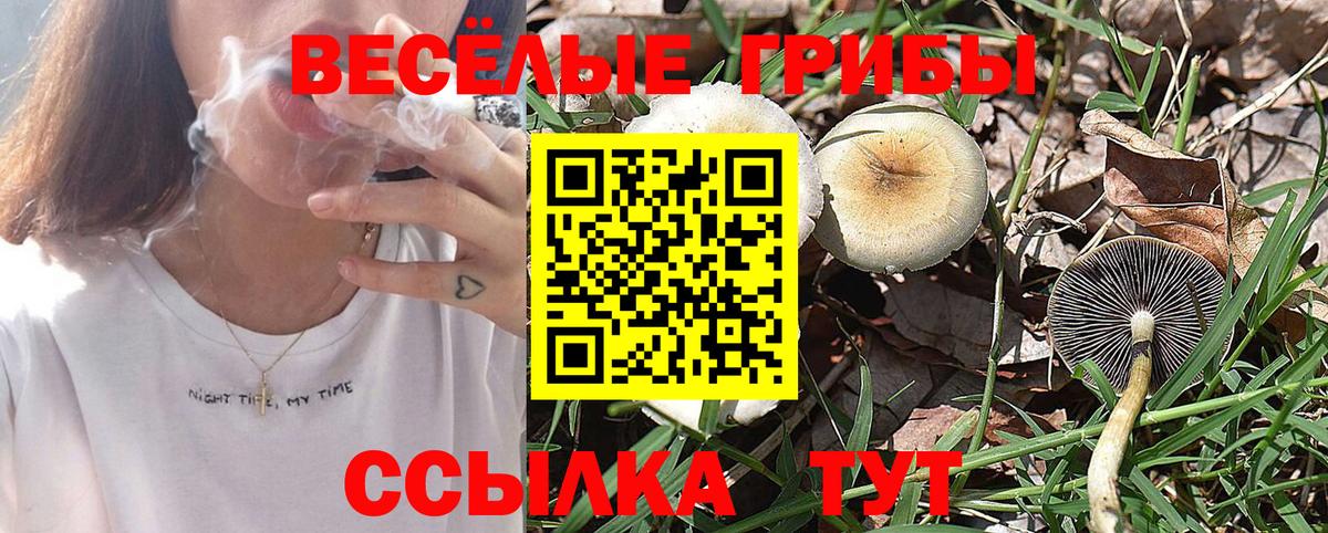 Самара  Псилоцибиновые грибы Magic Shrooms  Вход с VPN 