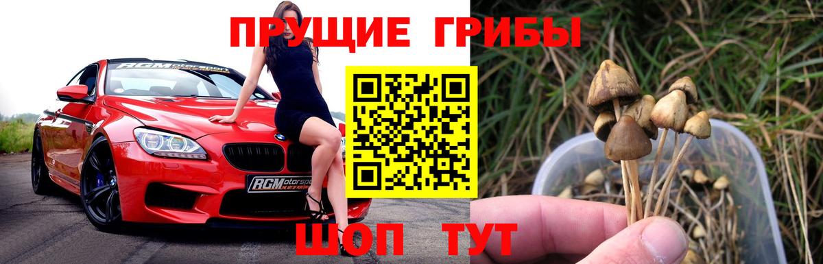 Галлюциногенные грибы мицелий Самара